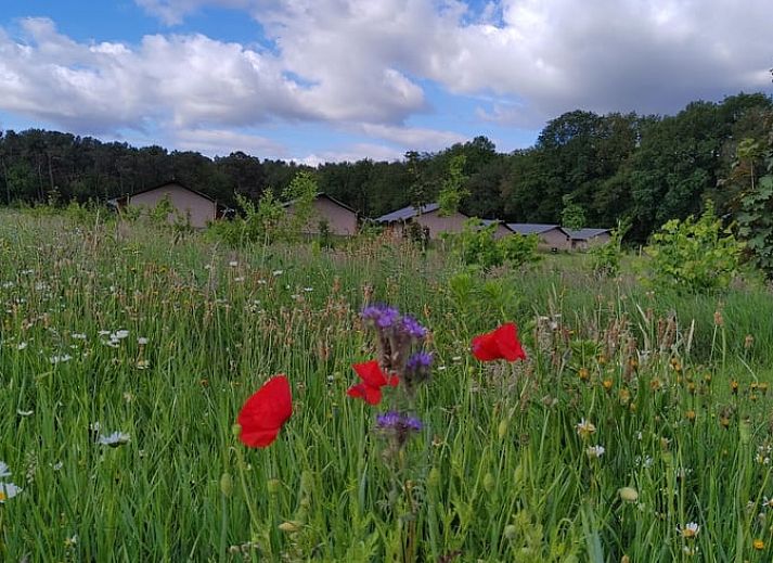 Moderne Kueche in Cottage in Rucphen, Ferienhaus in Westbrabant, Nordbrabant, mit stilvoller Einrichtung und geraeumiger Essecke.