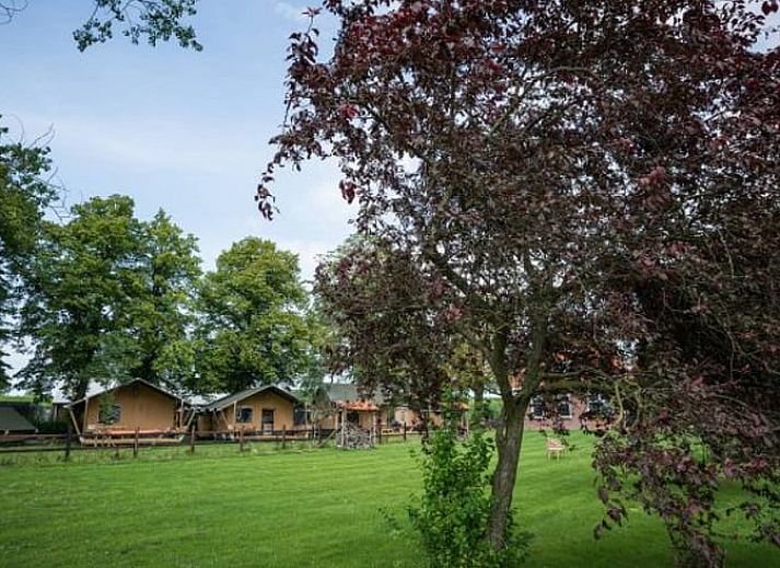 Verblijf 441507 - Vakantiewoning West Brabant - Vakantiehuisje in Steenbergen