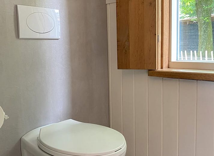 Stimmungsvolles Interieur des Huisje in Hoogerheide, Ferienhaus in Westbrabant mit Sonnenblumen und Holzakzenten.