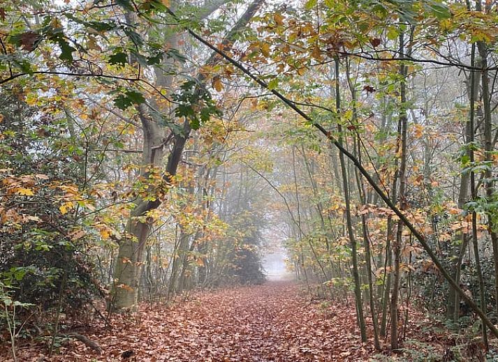 Gemuetliches Wohnzimmer im Ferienhaus in Hoogerheide, Westbrabant.