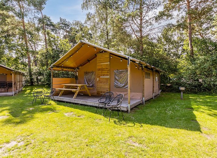 Verblijf 442125 • Vakantiewoning West Brabant • Safaritent 4 