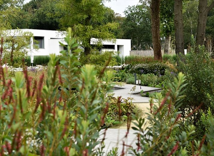 Hammock in the garden of Huisje in Oosterhout, vacation home in Oosterhout, West Brabant, North Brabant.