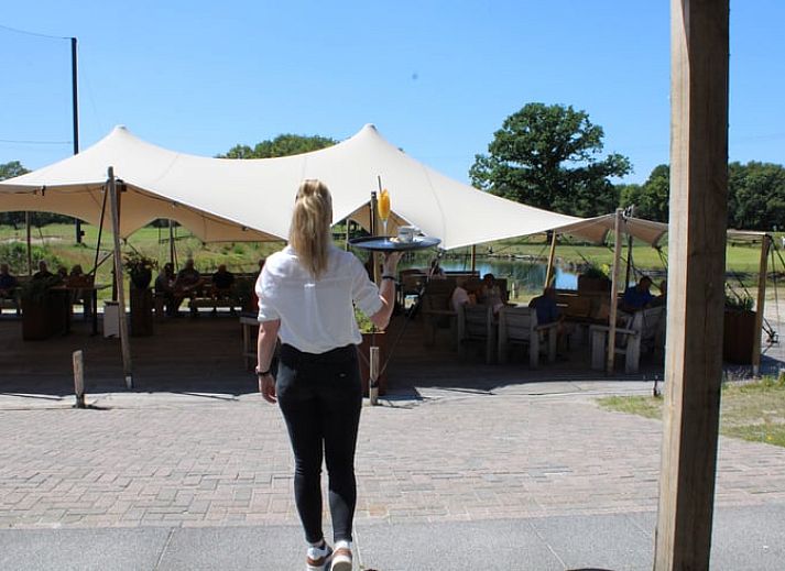 Beautiful landscape around Cottage in Oosterhout, vacation home in Oosterhout, West Brabant, North Brabant.