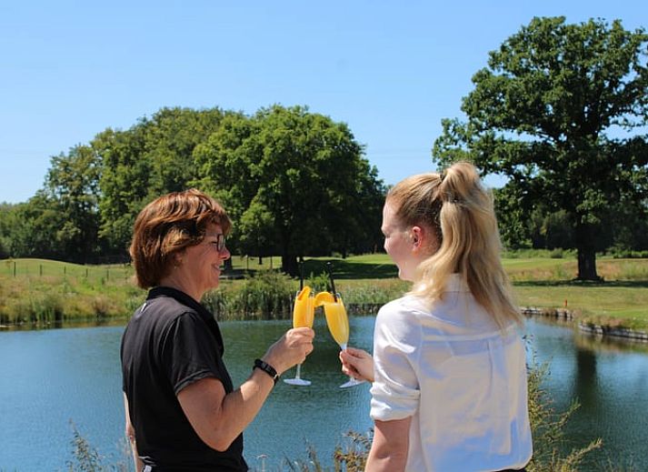 Beautiful landscape around Cottage in Oosterhout, vacation home in Oosterhout, West Brabant, North Brabant.