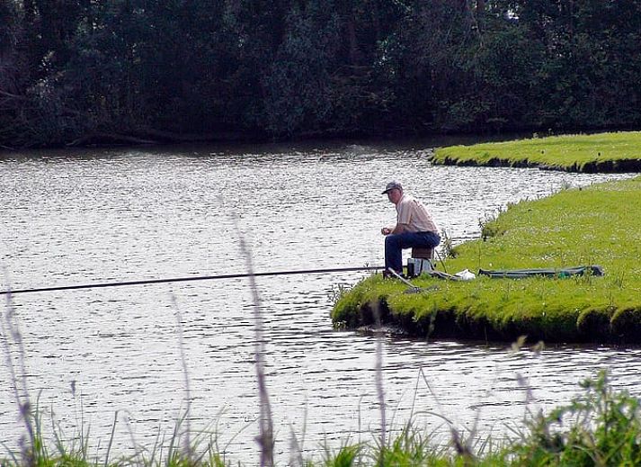 Terrasse von Haus in Drimmelen, Ferienhaus in Nordbrabant mit Sitzecke und gruener Umgebung.