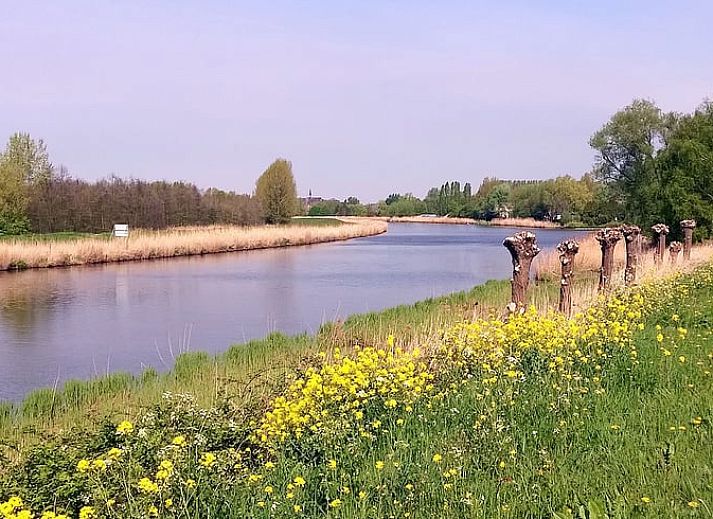 Terrasse von Haus in Drimmelen, Ferienhaus in Nordbrabant mit Sitzecke und gruener Umgebung.
