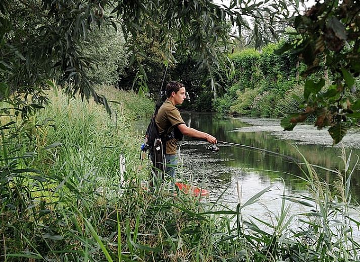 Kueche in Haus in Drimmelen, Ferienhaus in Nordbrabant mit moderner Ausstattung.