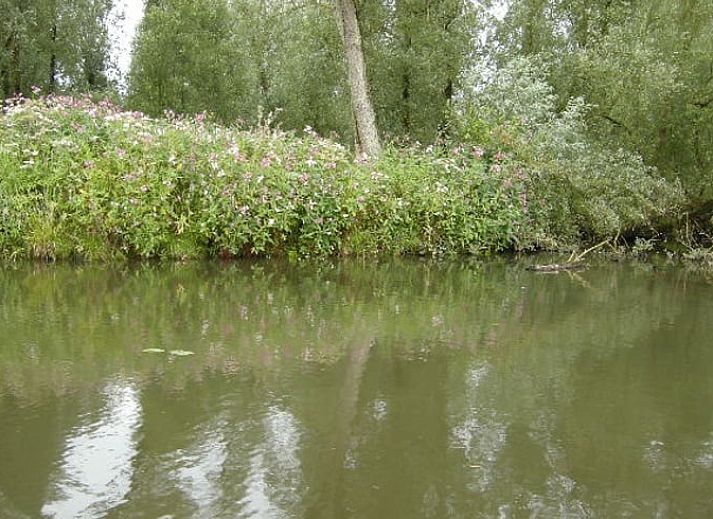 Kueche in Haus in Drimmelen, Ferienhaus in Nordbrabant mit moderner Ausstattung.