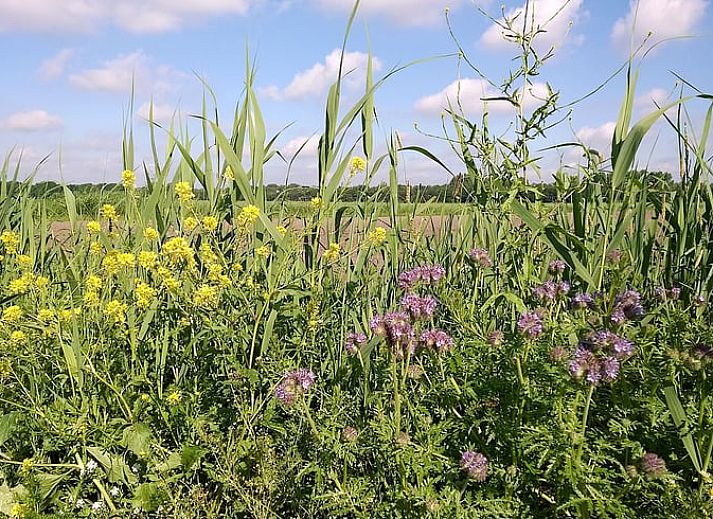Kueche in Haus in Drimmelen, Ferienhaus in Nordbrabant mit moderner Ausstattung.