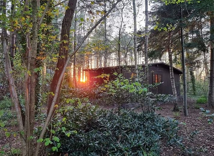 Verblijf 442604 • Vakantiewoning West Brabant • Natuurhuisje in Rijsbergen