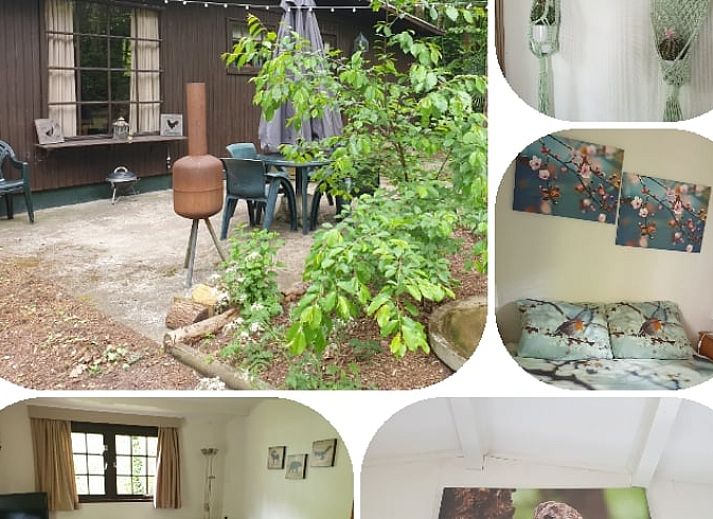 Unterkunft 442606 - Ferienhaus West Brabant - Huisje in Rijsbergen
