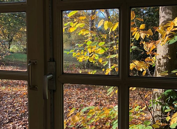 Ferienhaus in Rijsbergen, umgeben von Herbstlaub in den Waeldern von West-Brabant, Nord-Brabant.