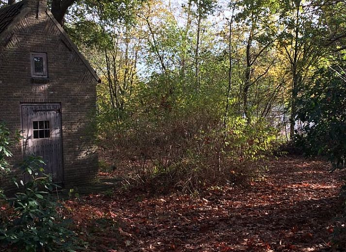Blick vom Ferienhaus in Rijsbergen, Herbstfarben und Naturschoenheiten in Rijsbergen, Westbrabant.