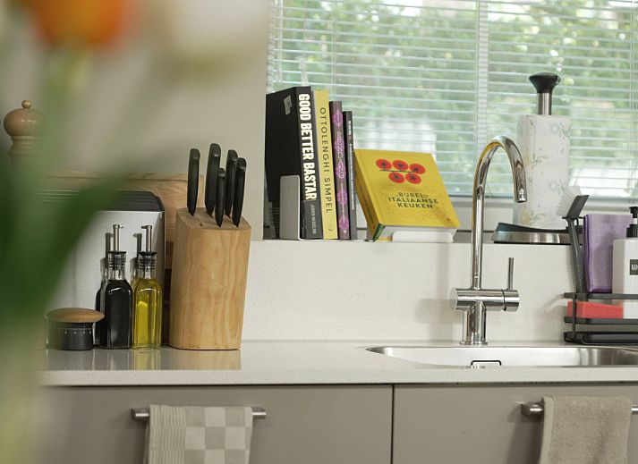 Unterkunft 442702 - Ferienhaus West Brabant - NB203