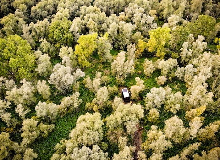 Enjoy the green surroundings at Holiday home in Werkendam, West Brabant, North Brabant.