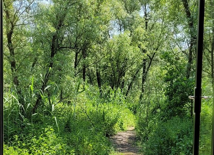 Enjoy the green surroundings at Holiday home in Werkendam, West Brabant, North Brabant.