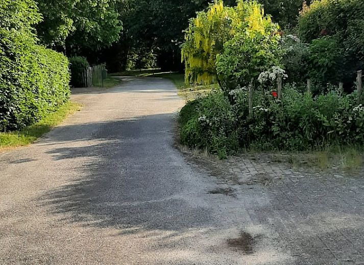 Vacation home in Werkendam with colorful garden and terrace, West Brabant, North Brabant