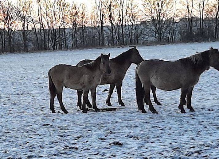 Sign with name Biesbosch Best at Holiday home in Werkendam, West Brabant, North Brabant