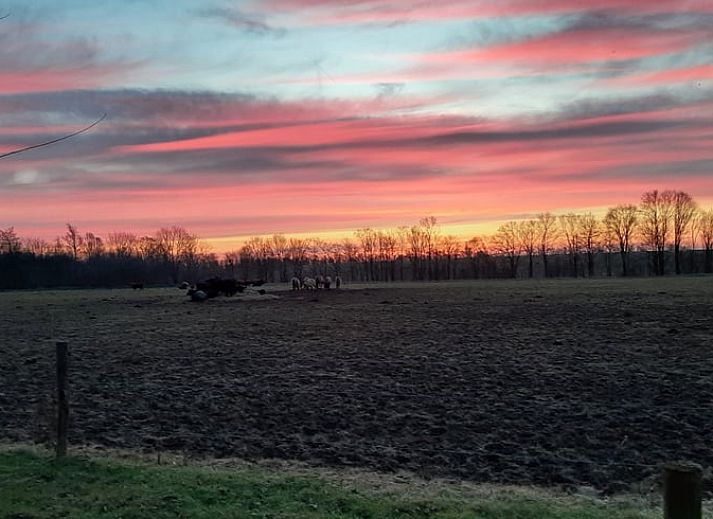 Sign with name Biesbosch Best at Holiday home in Werkendam, West Brabant, North Brabant