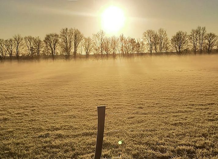 Access road to Holiday home in Werkendam surrounded by nature, West Brabant, North Brabant