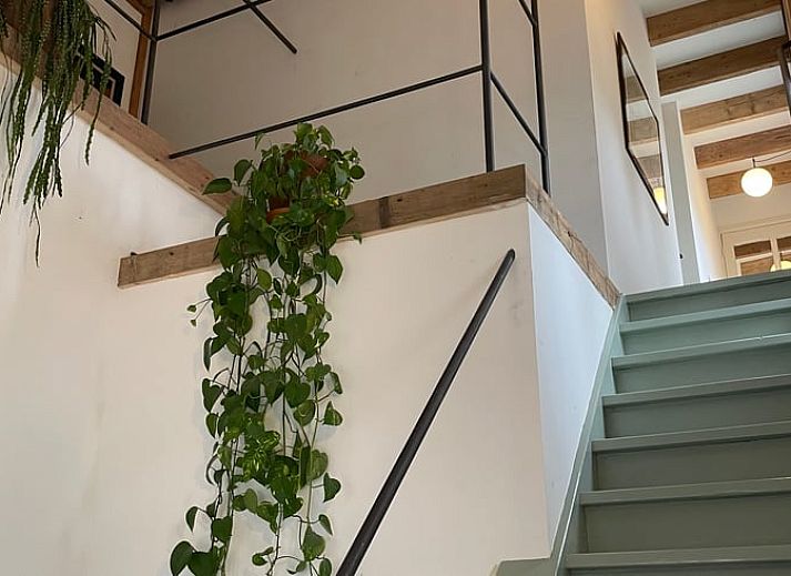 Guest house 443210 - Holiday property West Brabant - Huisje in Werkendam