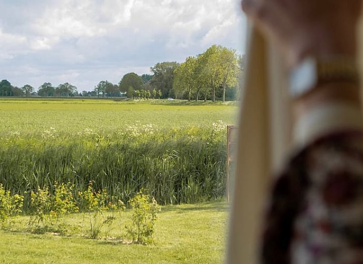 Guest house 443212 - Holiday property West Brabant - Vakantiehuis in Werkendam