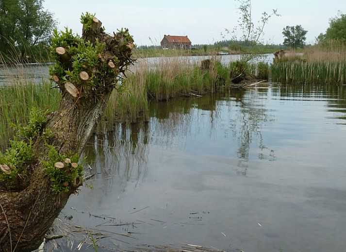 Unterkunft 443214 - Ferienhaus West Brabant - Huisje in Werkendam