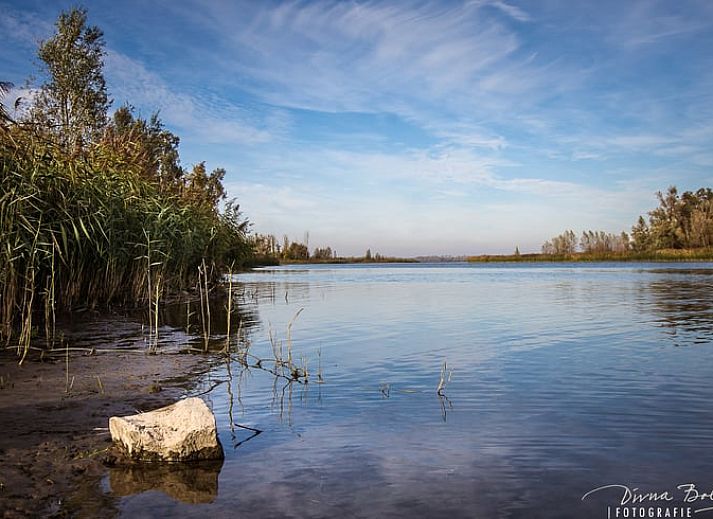 Guest house 443215 - Holiday property West Brabant - Vakantiehuis in Werkendam