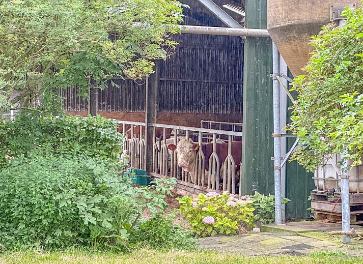 Eethoek en woonkamer in vakantiehuis Aarde, ideaal voor familieverblijven in Lage Zwaluwe, West Brabant.