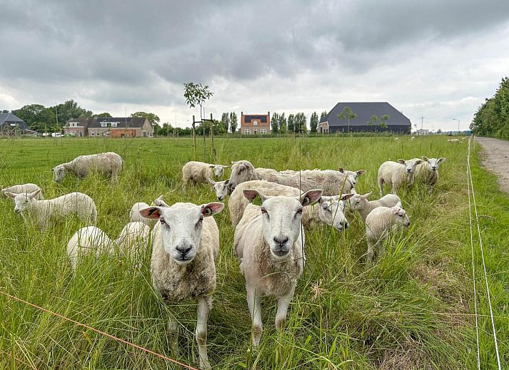 Eethoek en woonkamer in vakantiehuis Aarde, ideaal voor familieverblijven in Lage Zwaluwe, West Brabant.