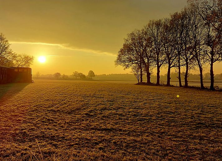 Blick auf die gruene Umgebung von Huisje in Sprundel, einem Ferienhaus in Westbrabant.