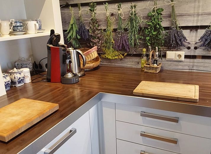 Blick auf die gruene Umgebung von Huisje in Sprundel, einem Ferienhaus in Westbrabant.