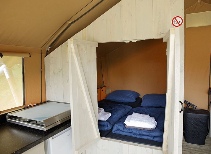 Verblijf 443603 - Tenthuis West Brabant - Safaritent