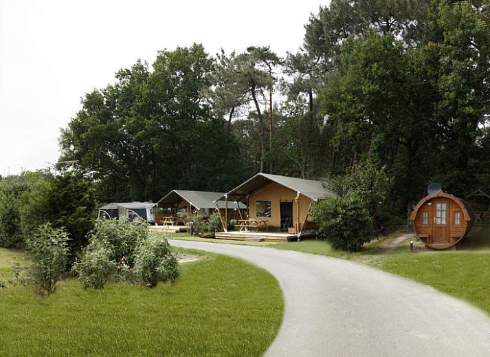 Verblijf 443603 - Tenthuis West Brabant - Safaritent