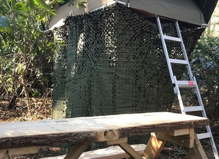 Verblijf 443605 - Vakantiewoning West Brabant - Treelodge