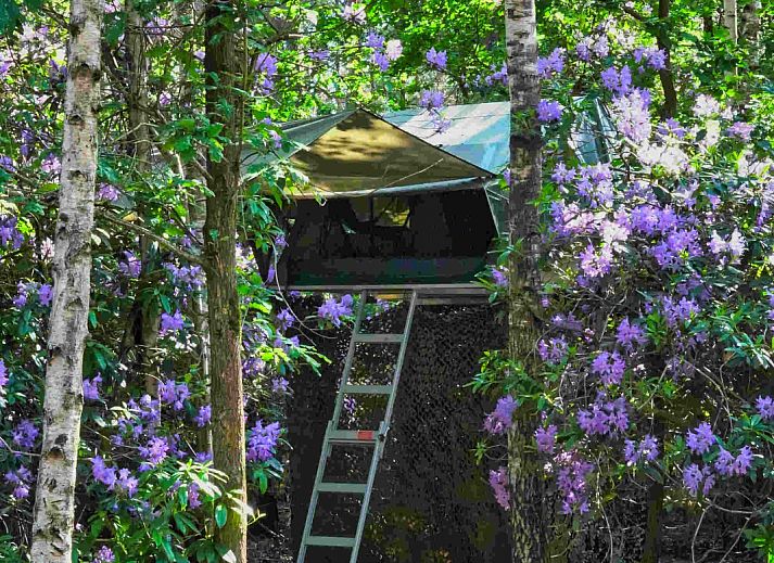 Verblijf 443605 - Vakantiewoning West Brabant - Treelodge