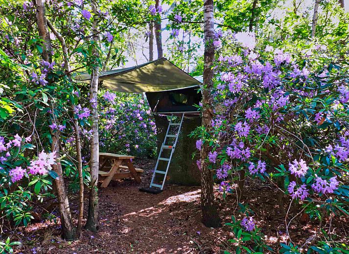 Verblijf 443605 - Vakantiewoning West Brabant - Treelodge