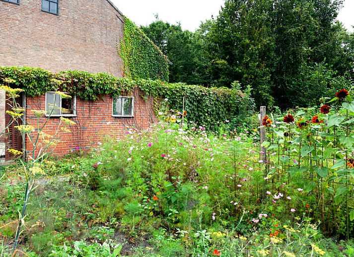 Unterkunft 443701 - Ferienhaus West Brabant - Vakantiehuis in Zegge