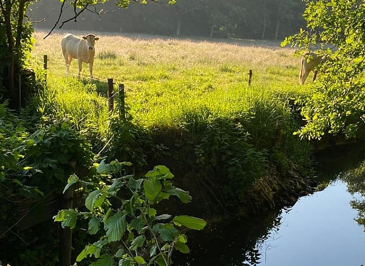 Cottage in Ulvenhout Ac offers a beautiful view of the green surroundings of West Brabant.