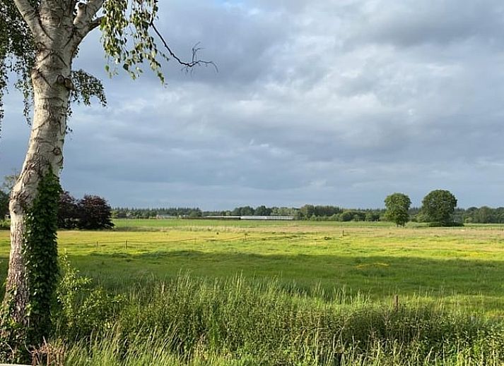 Cottage in Ulvenhout Ac offers a beautiful view of the green surroundings of West Brabant.