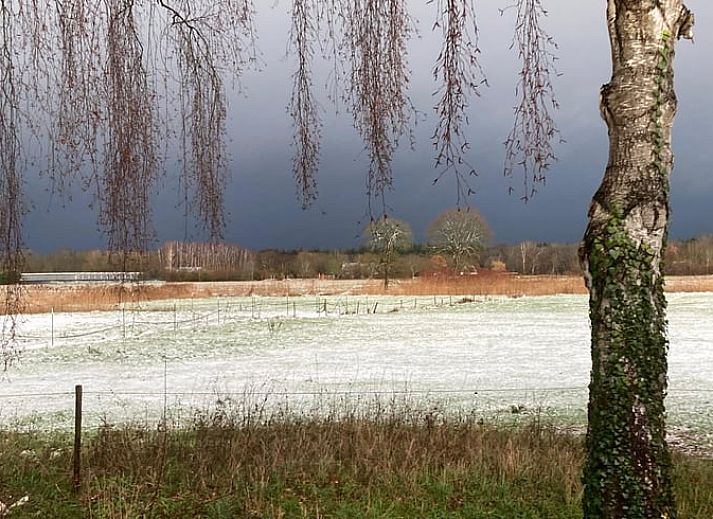 Overview of the cozy courtyard at Cottage in Ulvenhout Ac in West Brabant.