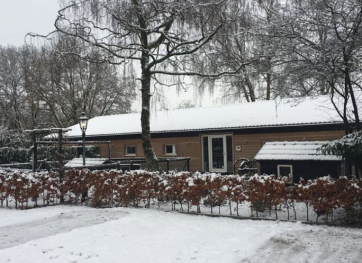 Green gardens and nature trails surround Cottage in Ulvenhout Ac in North Brabant.