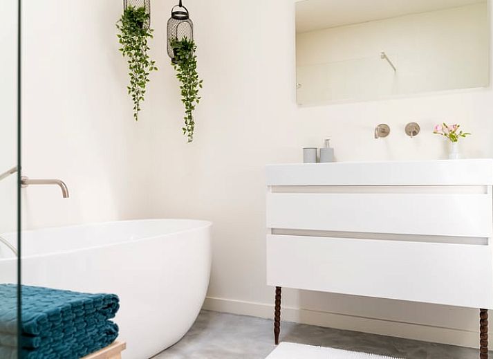 Guest house 443809 - Holiday property West Brabant - Huisje in Ulvenhout AC