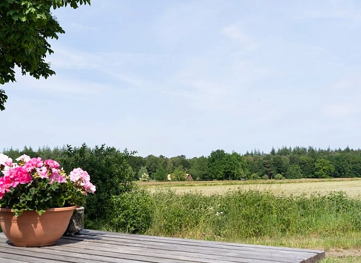 Guest house 443809 - Holiday property West Brabant - Huisje in Ulvenhout AC