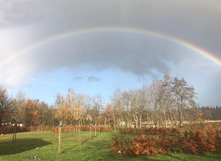 Guest house 443809 - Holiday property West Brabant - Huisje in Ulvenhout AC