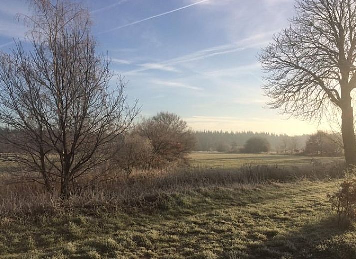 Guest house 443809 - Holiday property West Brabant - Huisje in Ulvenhout AC