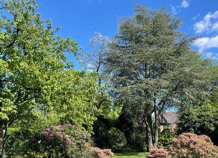 Fully equipped kitchen in Holiday home in Ulvenhout AC, North Brabant with wooden details.