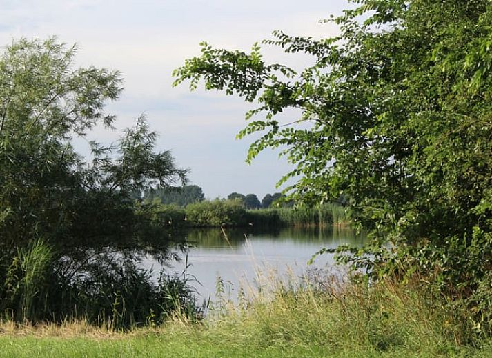 Guest house 443908 - Holiday property West Brabant - Huisje in Genderen
