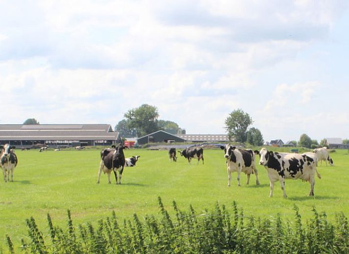 Guest house 443908 - Holiday property West Brabant - Huisje in Genderen