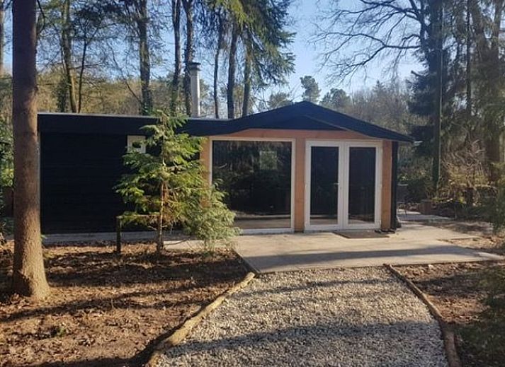 Cottage in Schijf, vacation home in West Brabant with wooded surroundings and modern look.